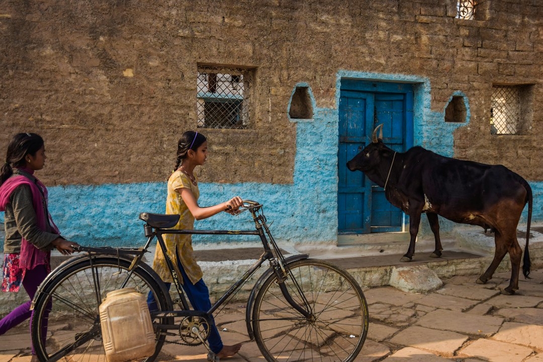 People in daily life in an Indian village